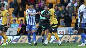 Wolverhampton Wanderers 10MAY25 Prints: Wolverhampton Wanderers v Brighton and Hove Albion Premier League 10MAY25