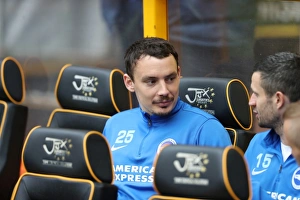 Wolverhampton Wanderers vs. Brighton and Hove Albion: EFL Sky Bet Championship Showdown at Molineux Stadium (April 14, 2017)