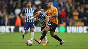 Images Dated 7th March 2020: Wolverhampton Wanderers vs. Brighton and Hove Albion: A Premier League Battle at Molineux Stadium