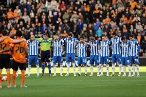 Images Dated 10th November 2012: Wolves Brighton 121110