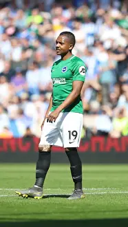 Wolves vs. Brighton: Premier League Battle at Molineux Stadium (20APR19)