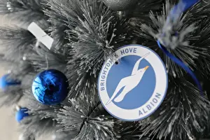 Young Seagulls Christmas Party 2015 at American Express Community Stadium