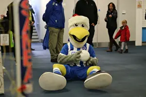Young Seagulls Christmas Party 2015 at American Express Community Stadium